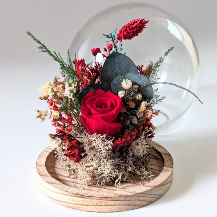 Cloche en verre et rose éternelle rouge pour décoration d’intérieur, Amor