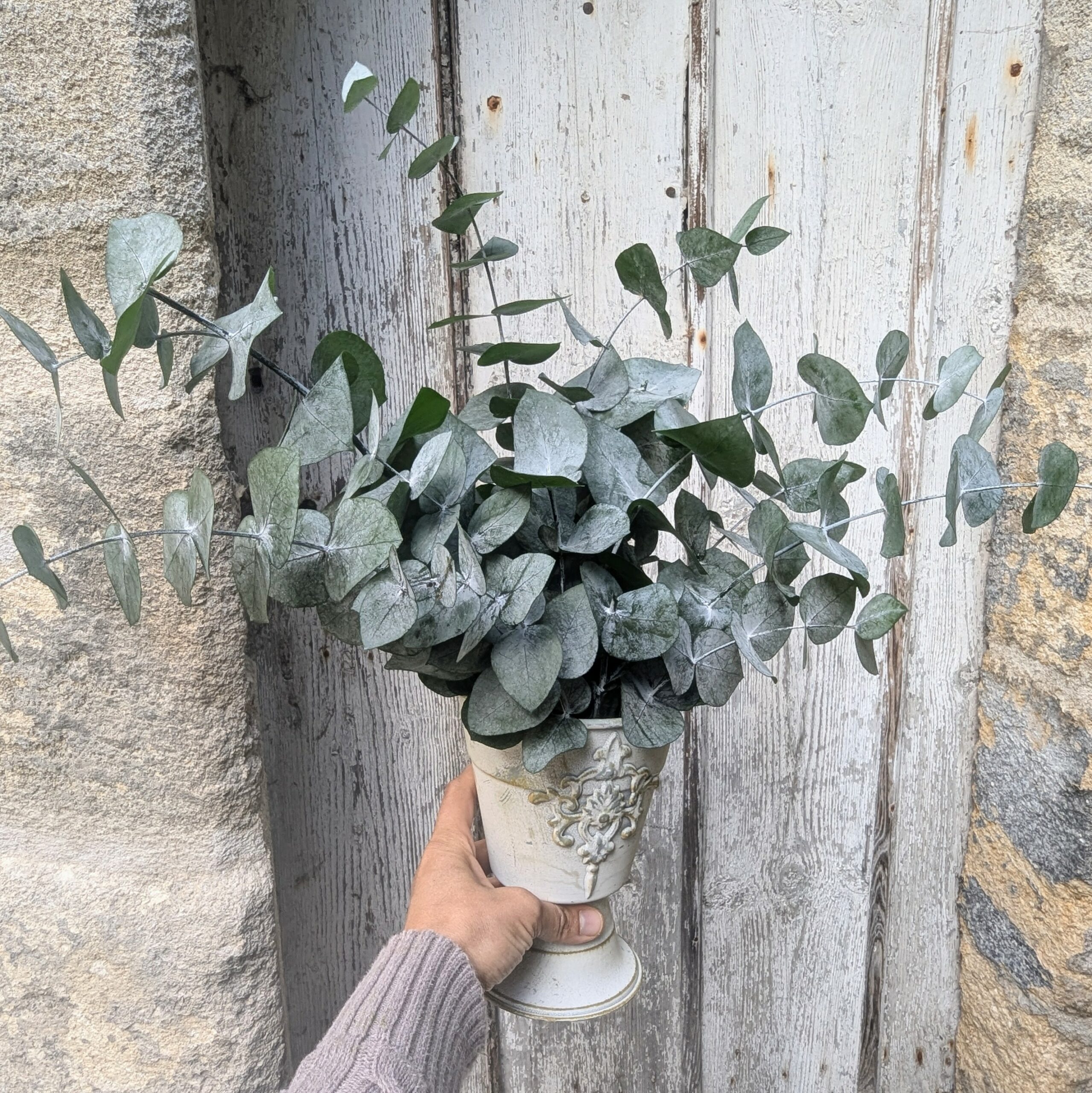 Composition d'eucalyptus stabilisé, déco scandinave hygge artisanale, Victoria – Image 4