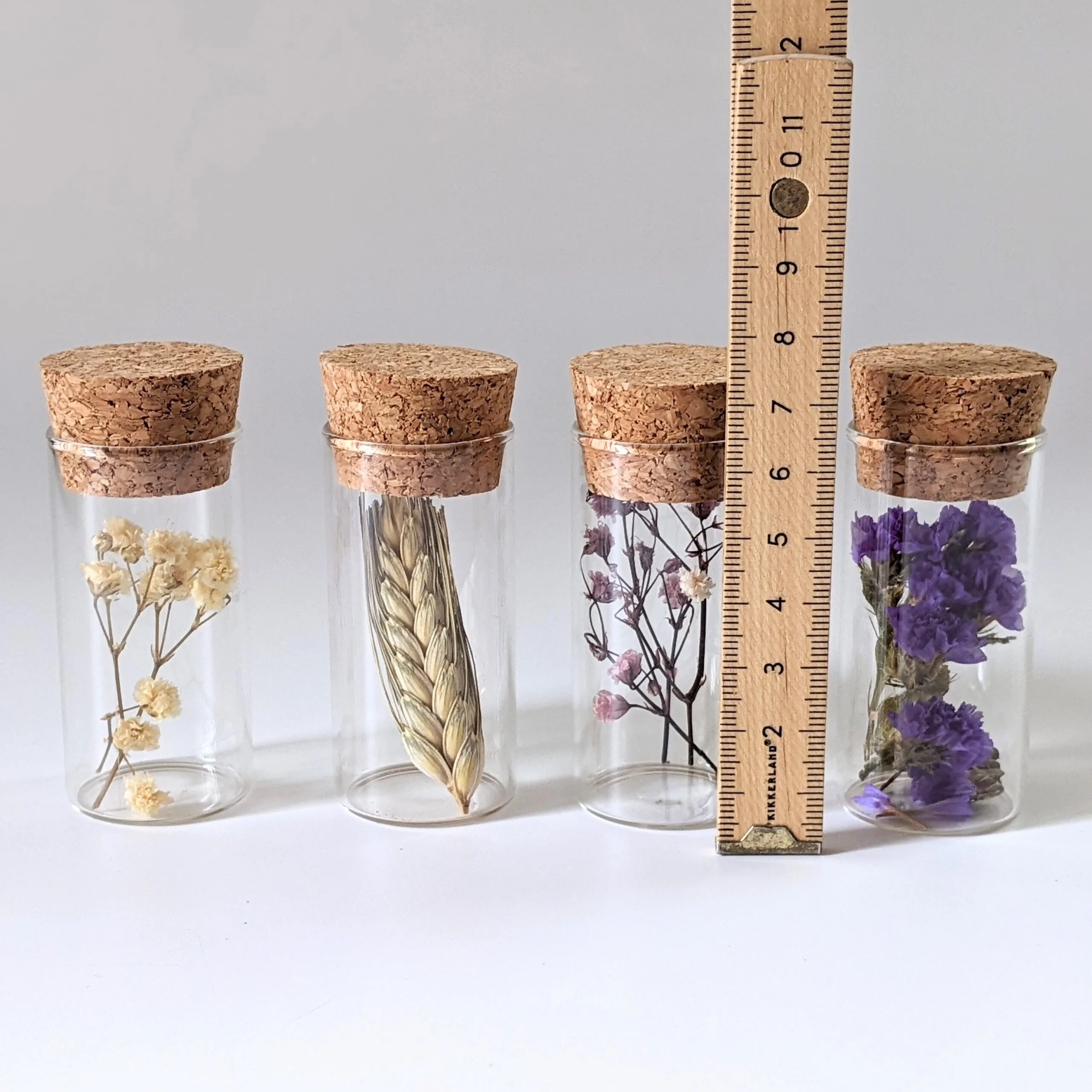 Lot de 4 mini fioles de fleurs séchées et stabilisées, Charmes – Image 4