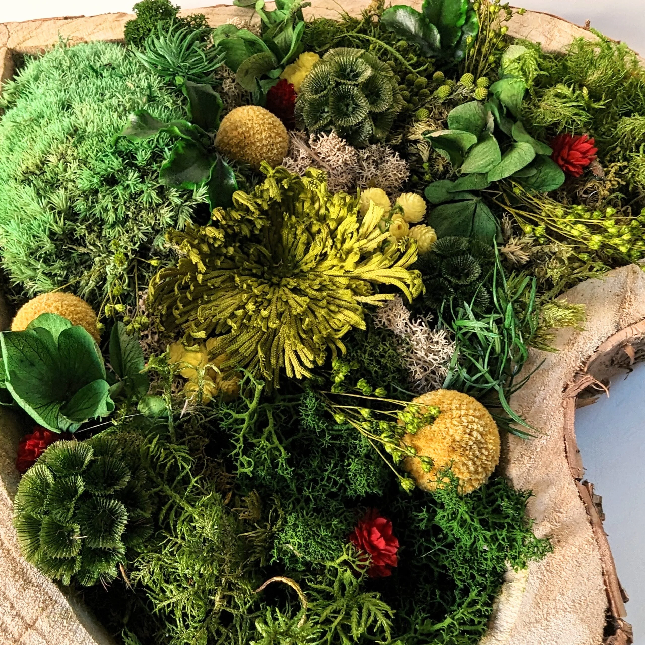 Tableau végétal en forme de coeur et fleurs stabilisées, Gaia – Image 4