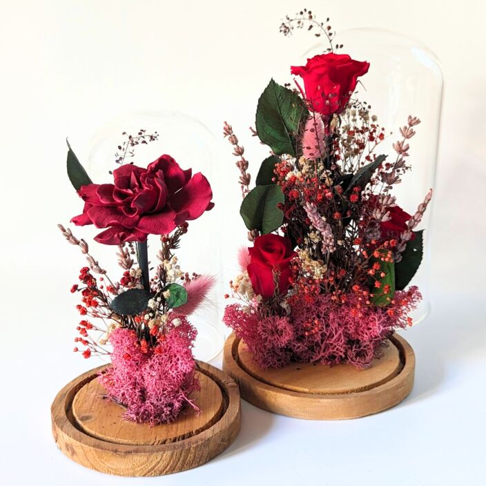 Cloche en verre avec fleurs éternelles pour décoration d’intérieur, Bella