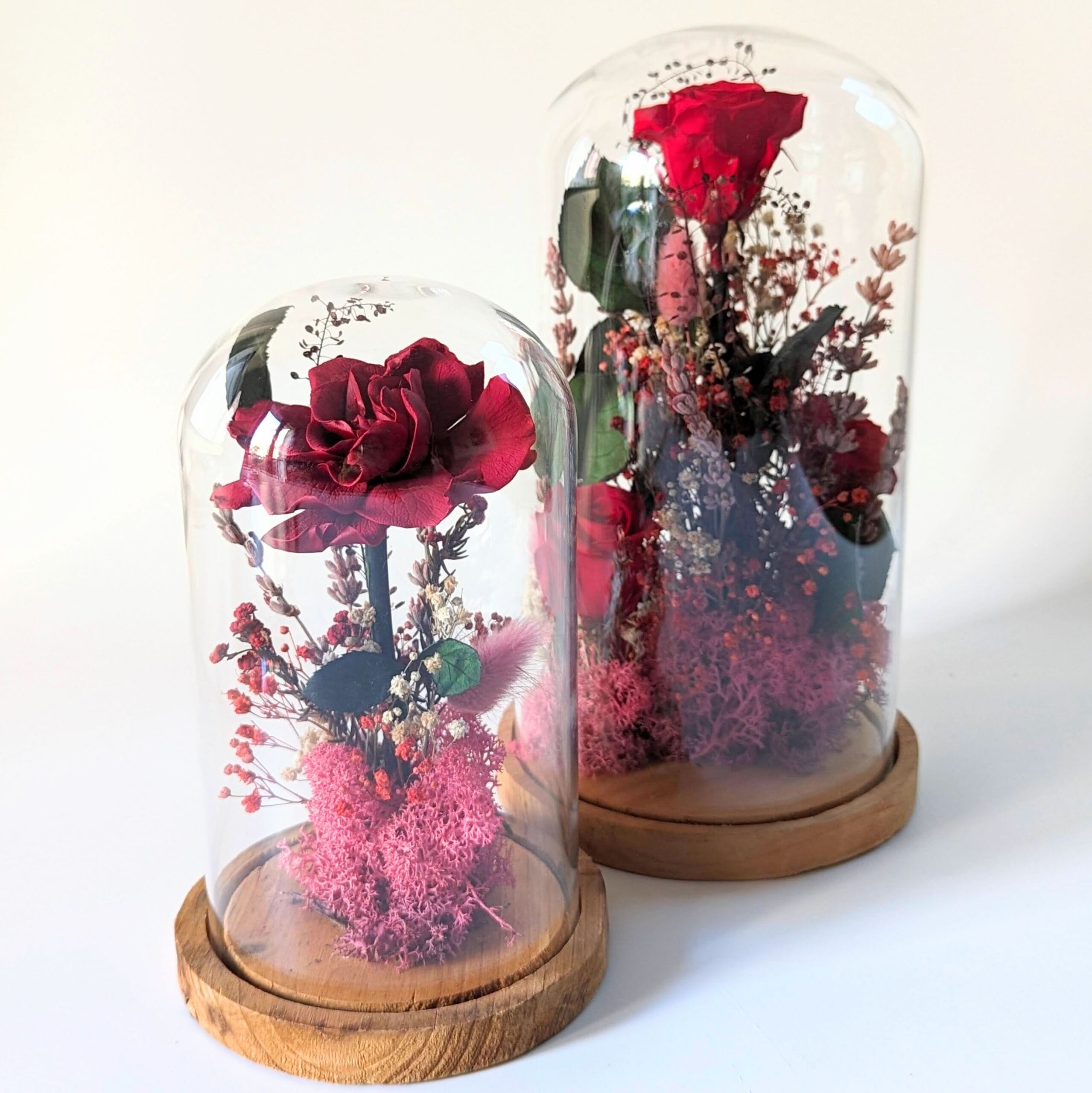 Cloche En Verre Pour Fleurs Éternelles – Avec Socle En Bois – 10x14 Cm – Décoration Saint-Valentin, Anniversaire
