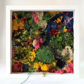 Tableau végétal mousse et plantes naturelles stabilisées, Alex