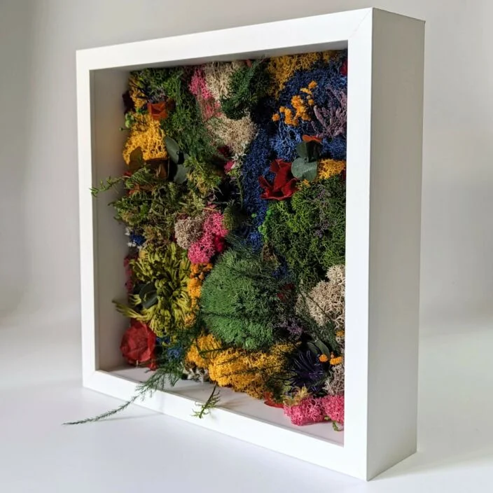 Tableau végétal mousse et plantes naturelles stabilisées, Alex – Image 4