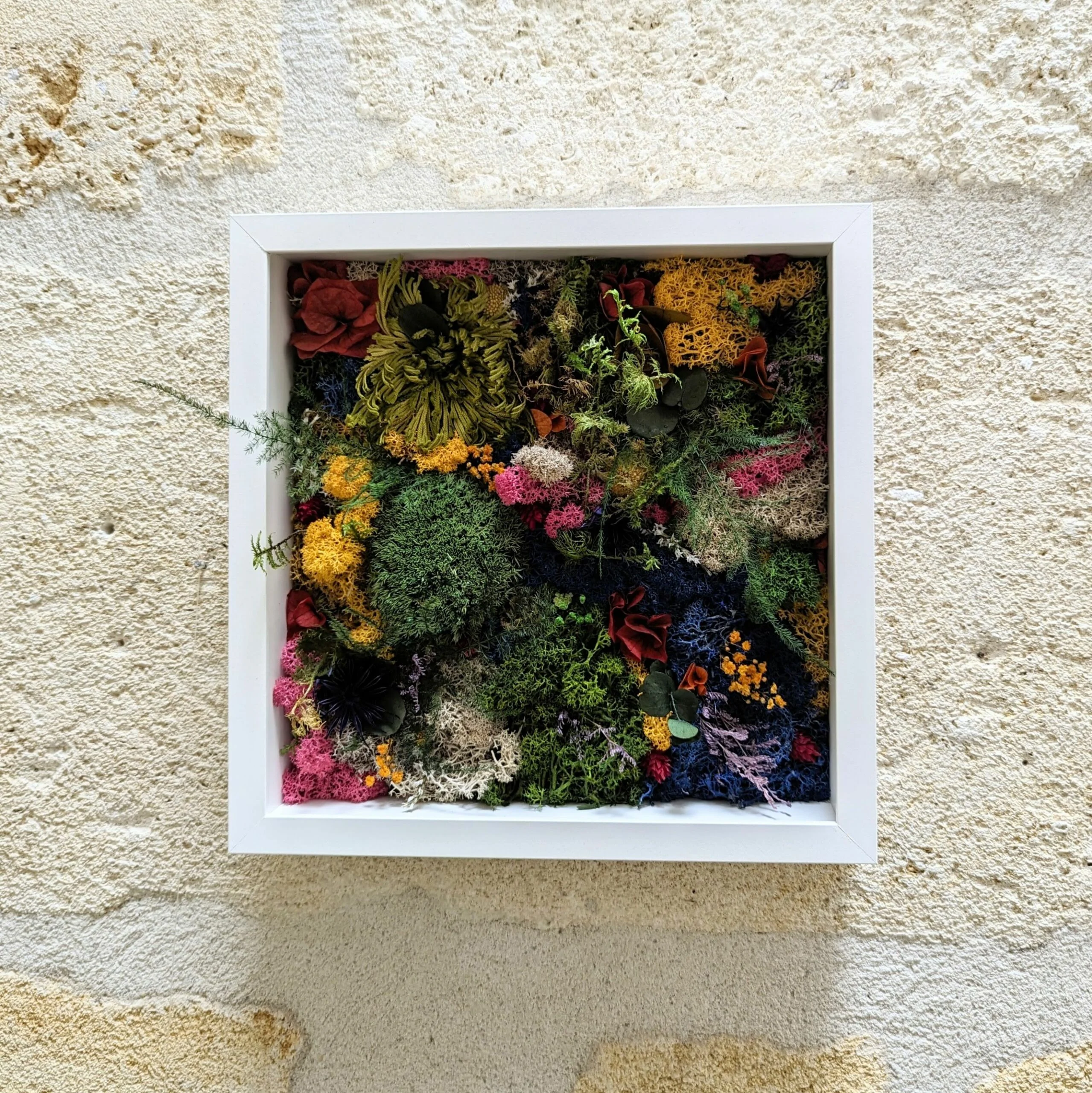 Tableau végétal mousse et plantes naturelles stabilisées, Alex – Image 3