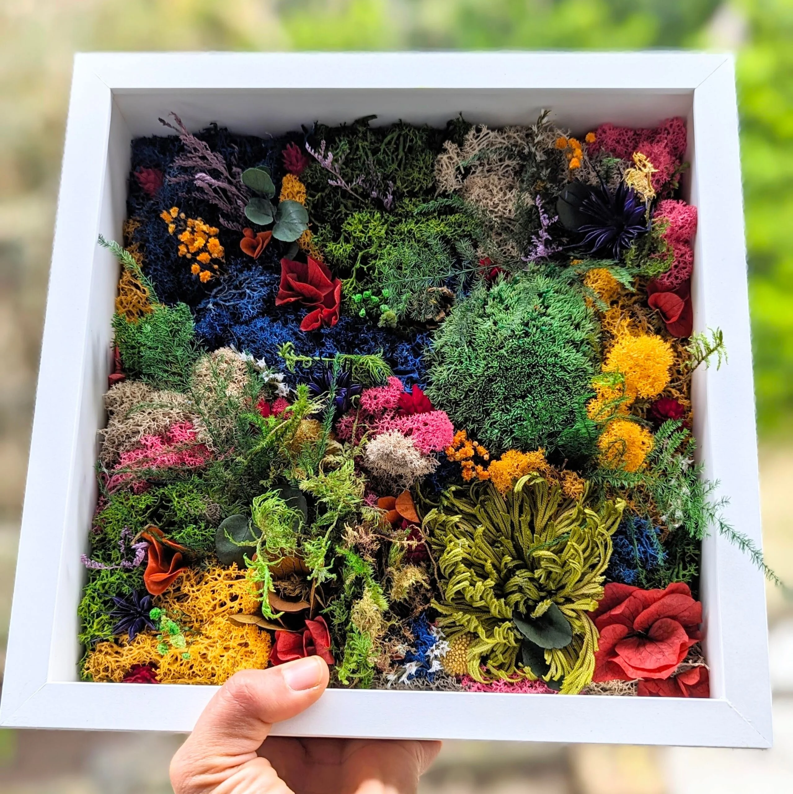 Tableau végétal mousse et plantes naturelles stabilisées, Alex – Image 2