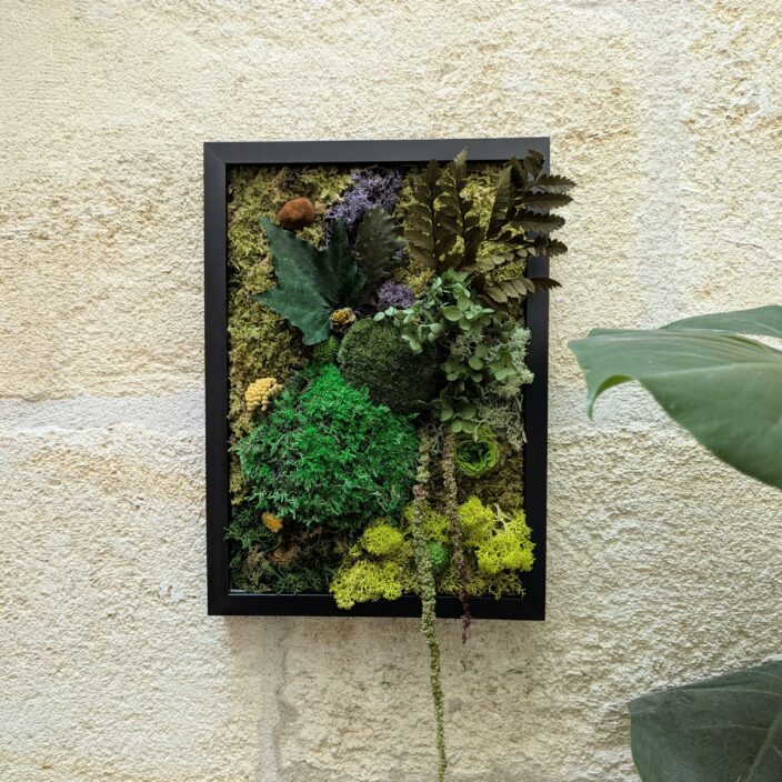 Tableau végétal en fleurs et plantes naturelles stabilisées, Léandro – Image 2