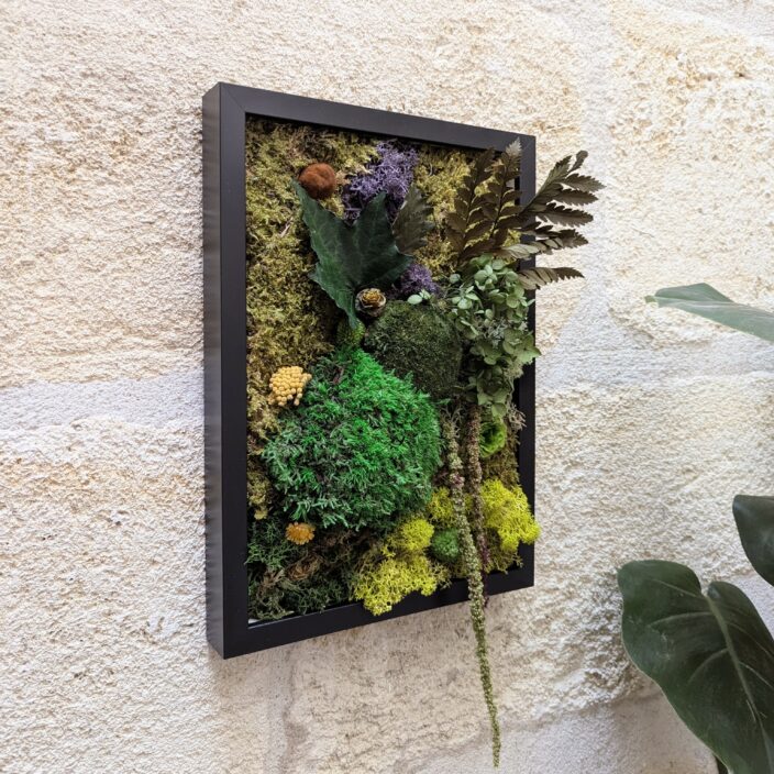 Tableau végétal en fleurs et plantes naturelles stabilisées, Léandro – Image 3