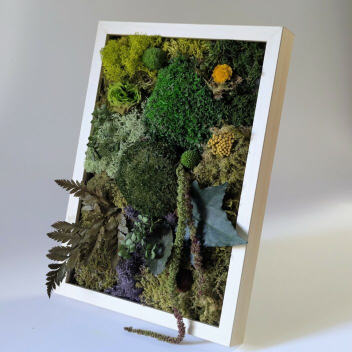 Tableau végétal en fleurs et plantes naturelles stabilisées, Silva – Image 4