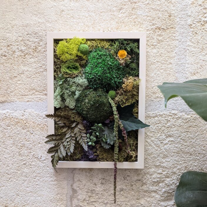 Tableau végétal en fleurs et plantes naturelles stabilisées, Silva – Image 3