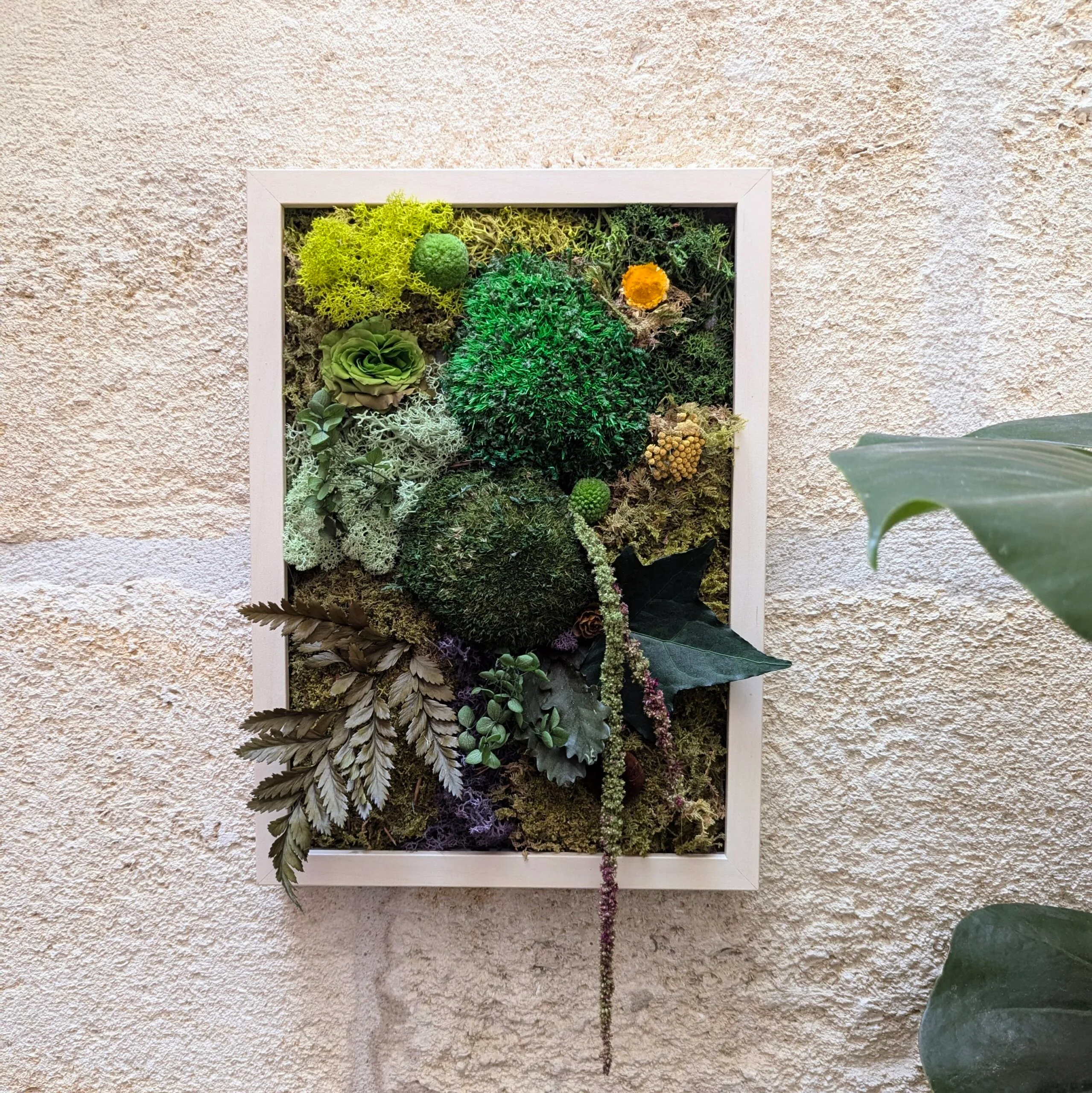 Tableau végétal en fleurs et plantes naturelles stabilisées, Silva – Image 3