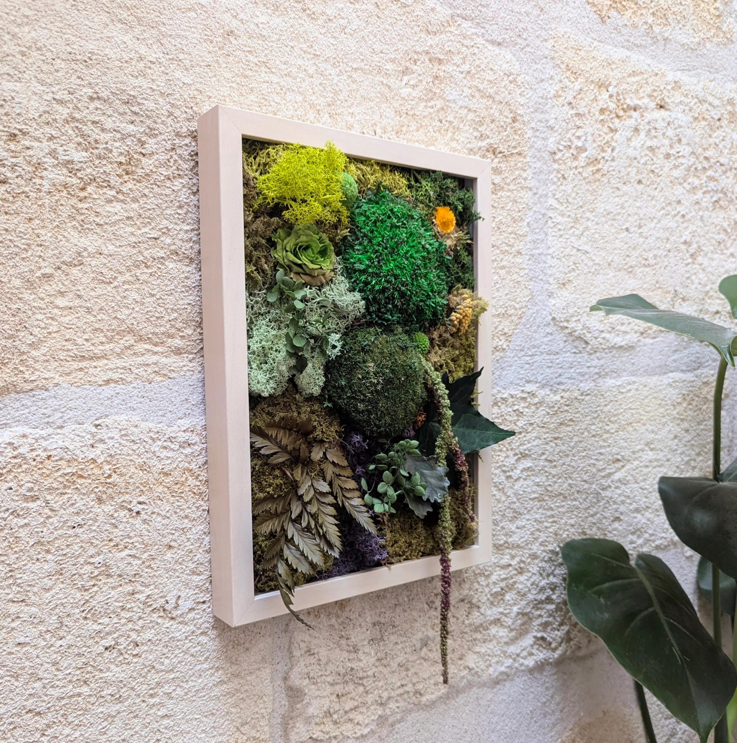 Tableau végétal en fleurs et plantes naturelles stabilisées, Silva – Image 2