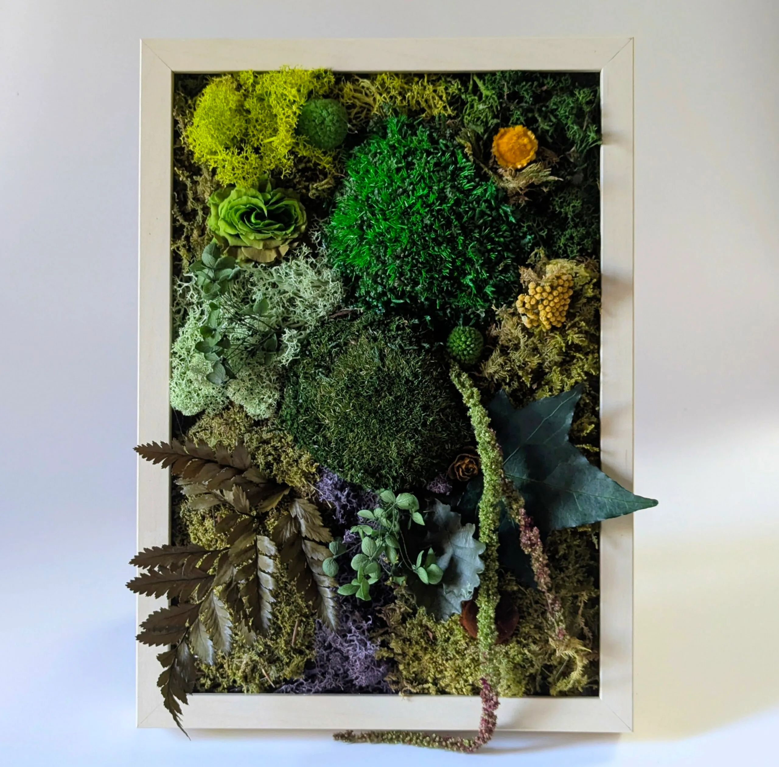 Tableau végétal en fleurs et plantes naturelles stabilisées, Silva