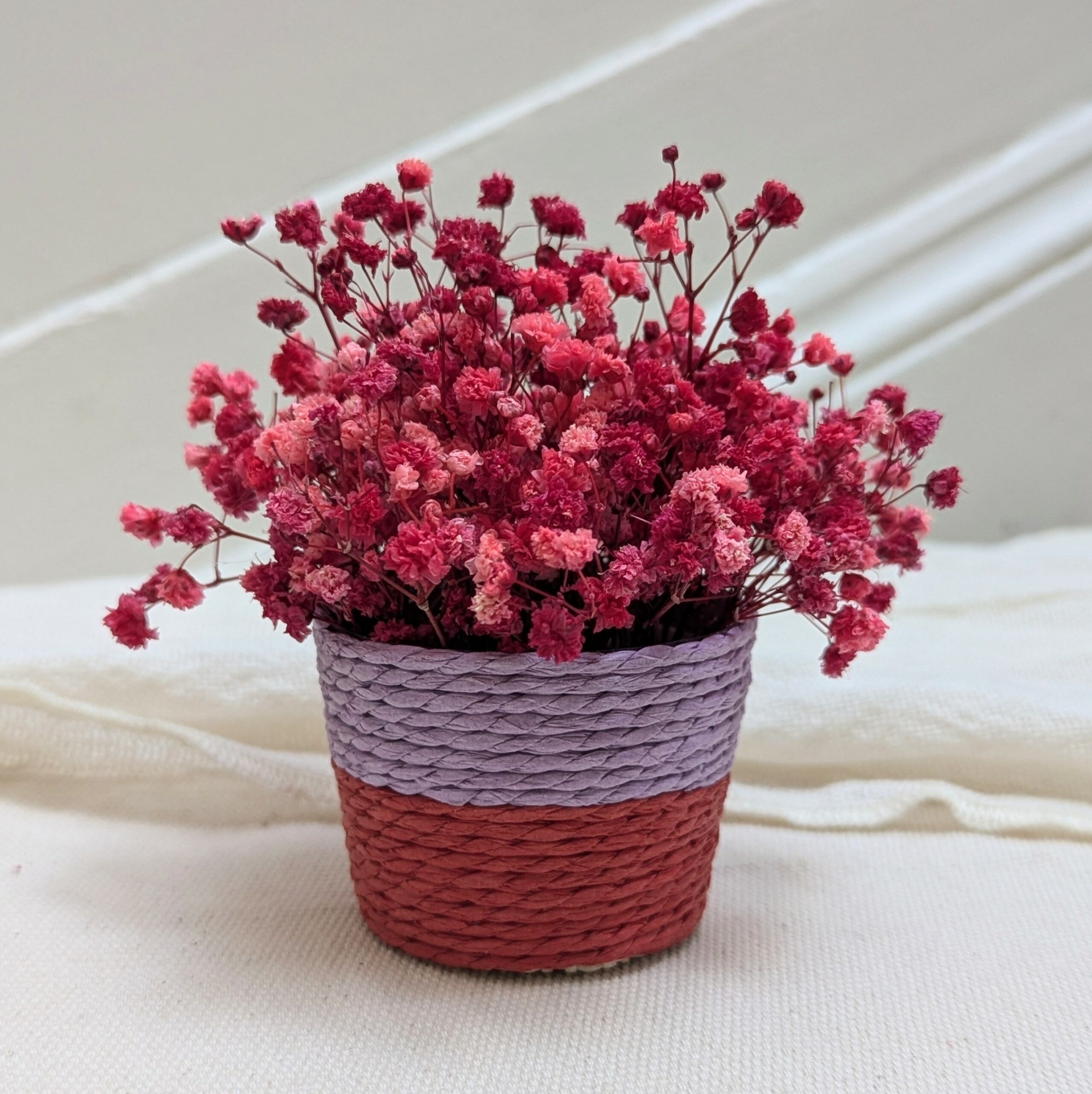 Mini panier en gypsophile stabilisé rouge fuchsia, Roséa