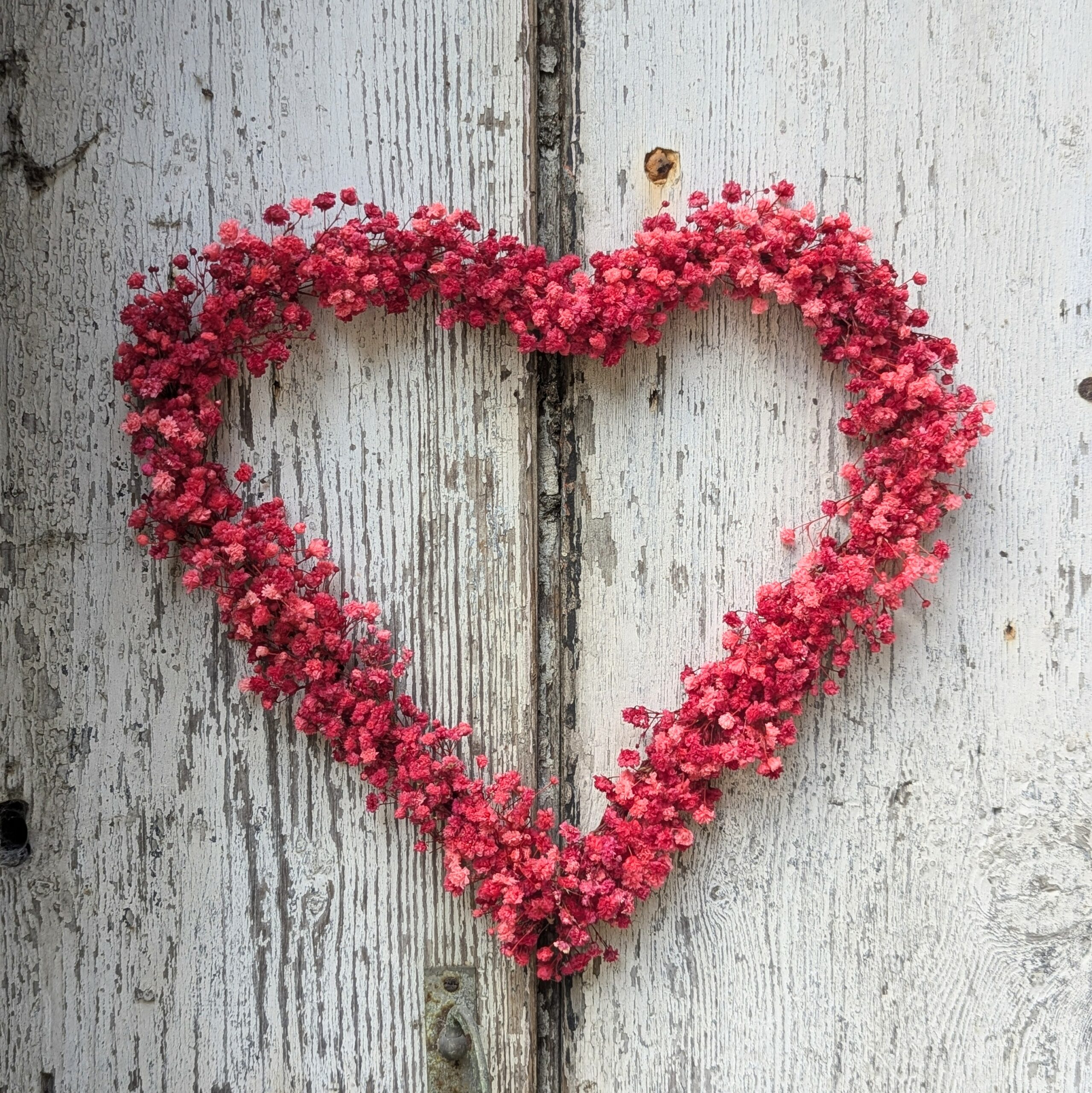 Couronne cœur en gypsophile stabilisé rouge fuchsia, Roséa – Image 3