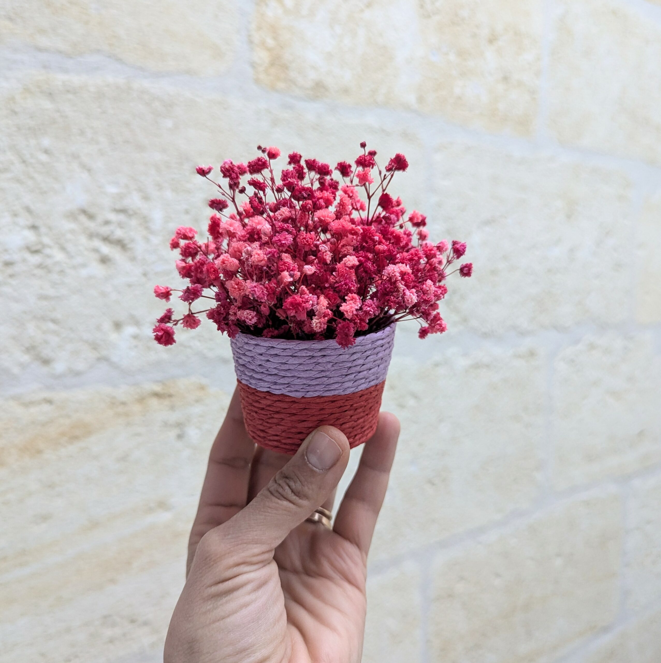 Mini panier en gypsophile stabilisé rouge fuchsia, Roséa – Image 2