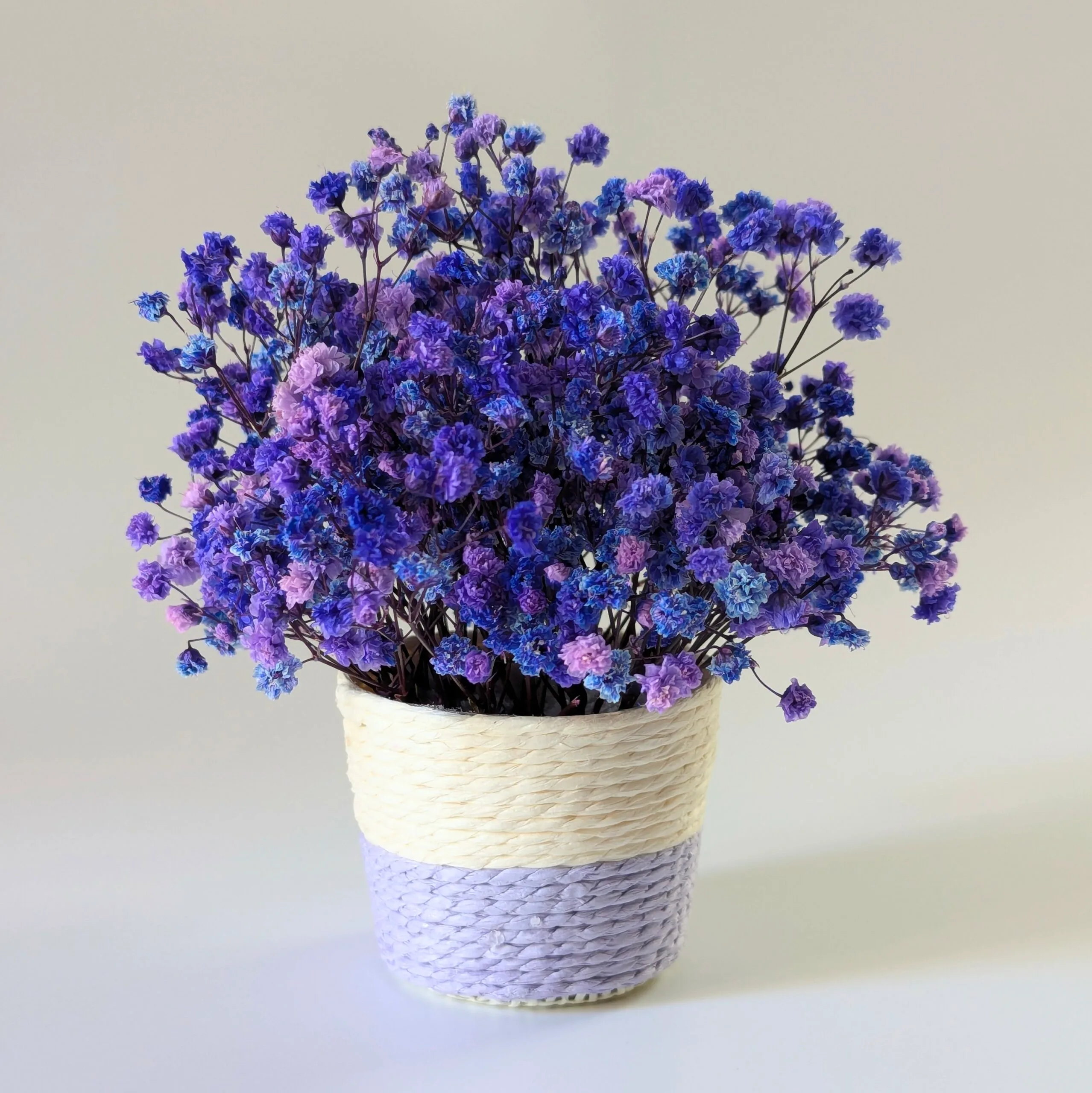 Mini panier en gypsophile stabilisée violet & bleu, Léna